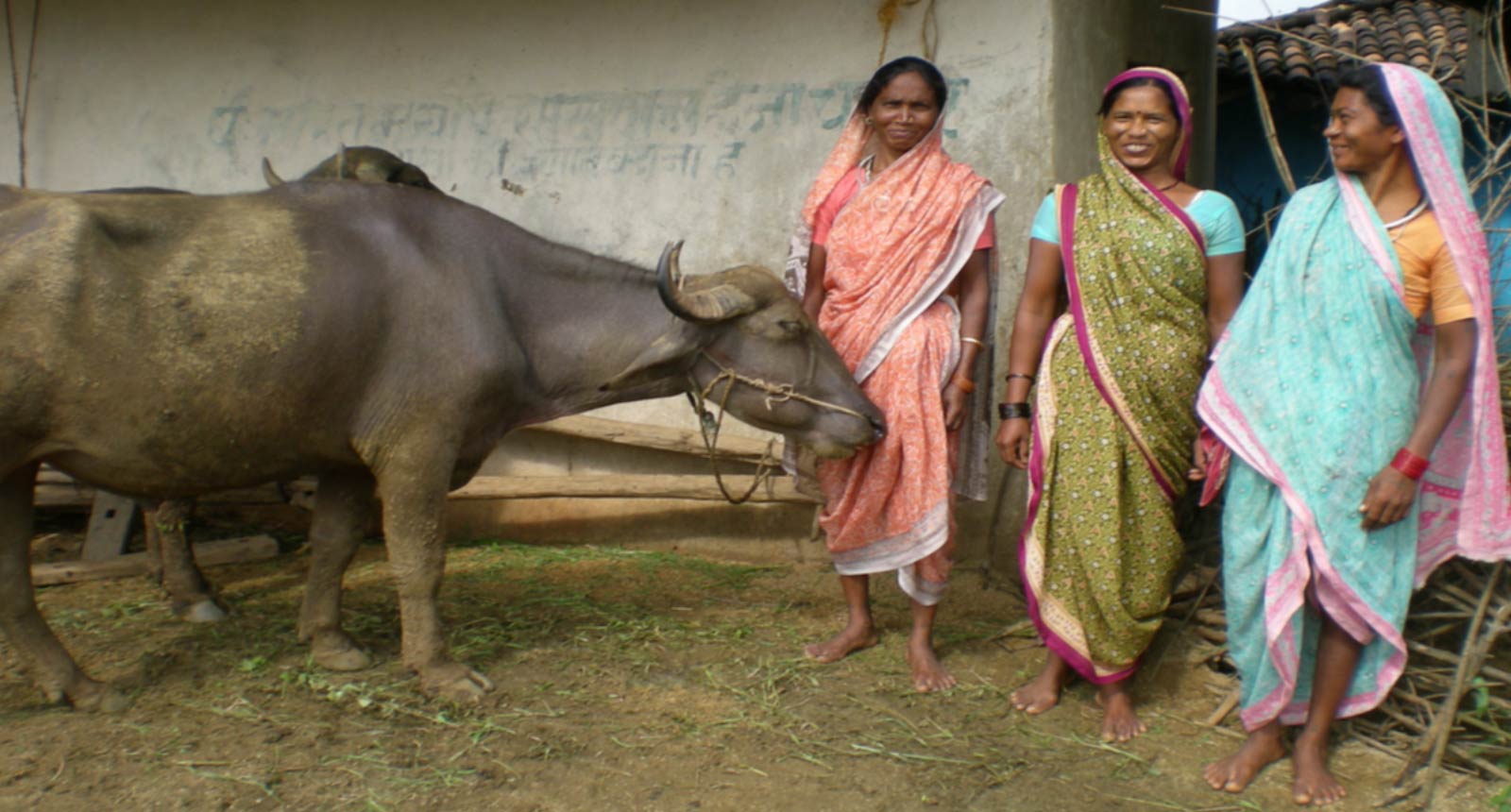 Dropati with 2 woman and cows